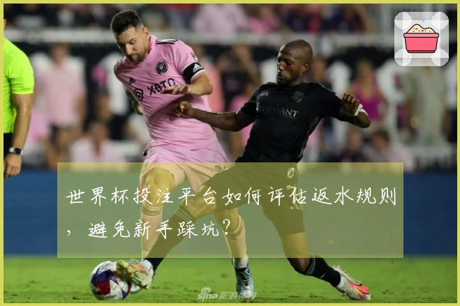 世界杯投注平台如何评估返水规则，避免新手踩坑？