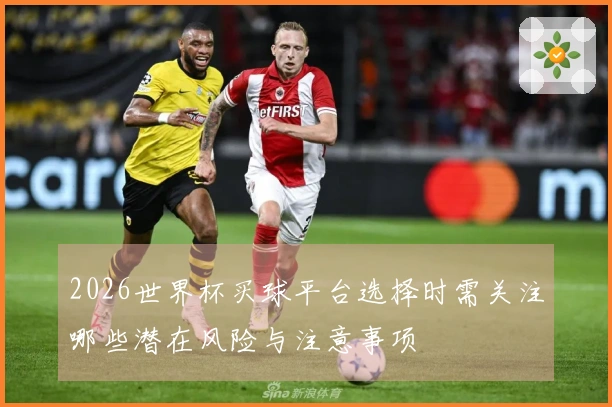 2026世界杯买球平台选择时需关注哪些潜在风险与注意事项