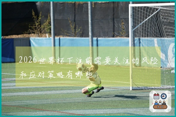 2026世界杯下注前需要关注的风险和应对策略有哪些
